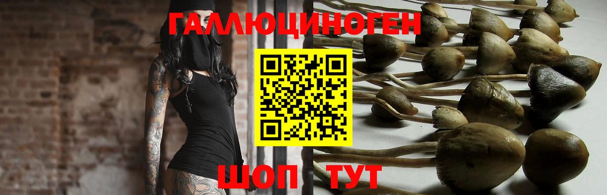 Галлюциногенные грибы мухоморы Киселёвск